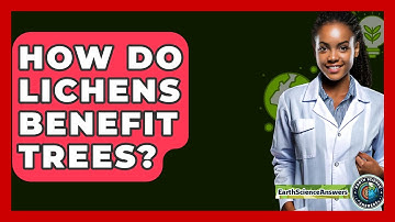 How Do Lichens Benefit Trees? - Earth Science Answers