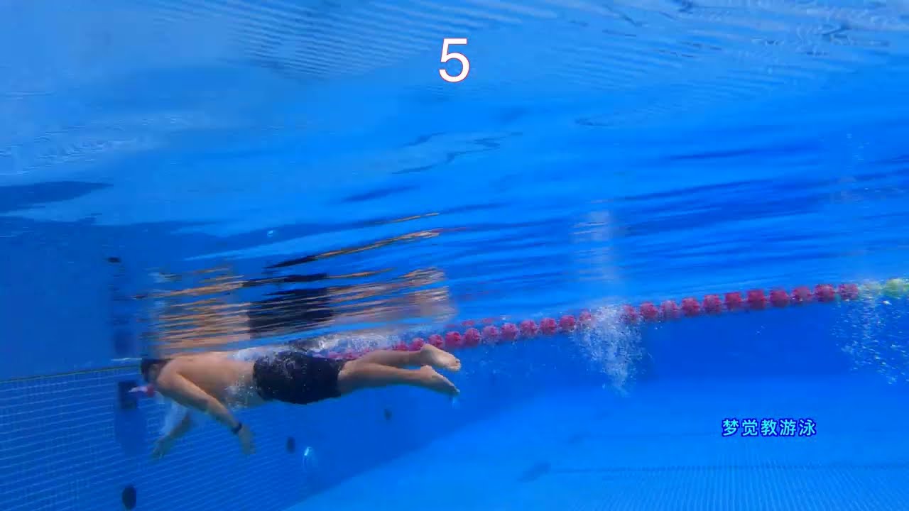 【游泳示范】0到6次腿的自由泳