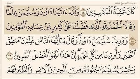 سورة نحل للقائ أسلام صبحي أجمل صوت يأخدك الى عالم أخر #اسلام_صبحي