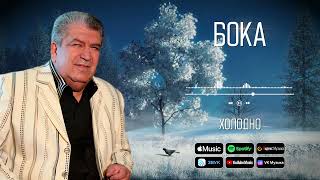 Бока (Борис Давидян) - Холодно | Аудио