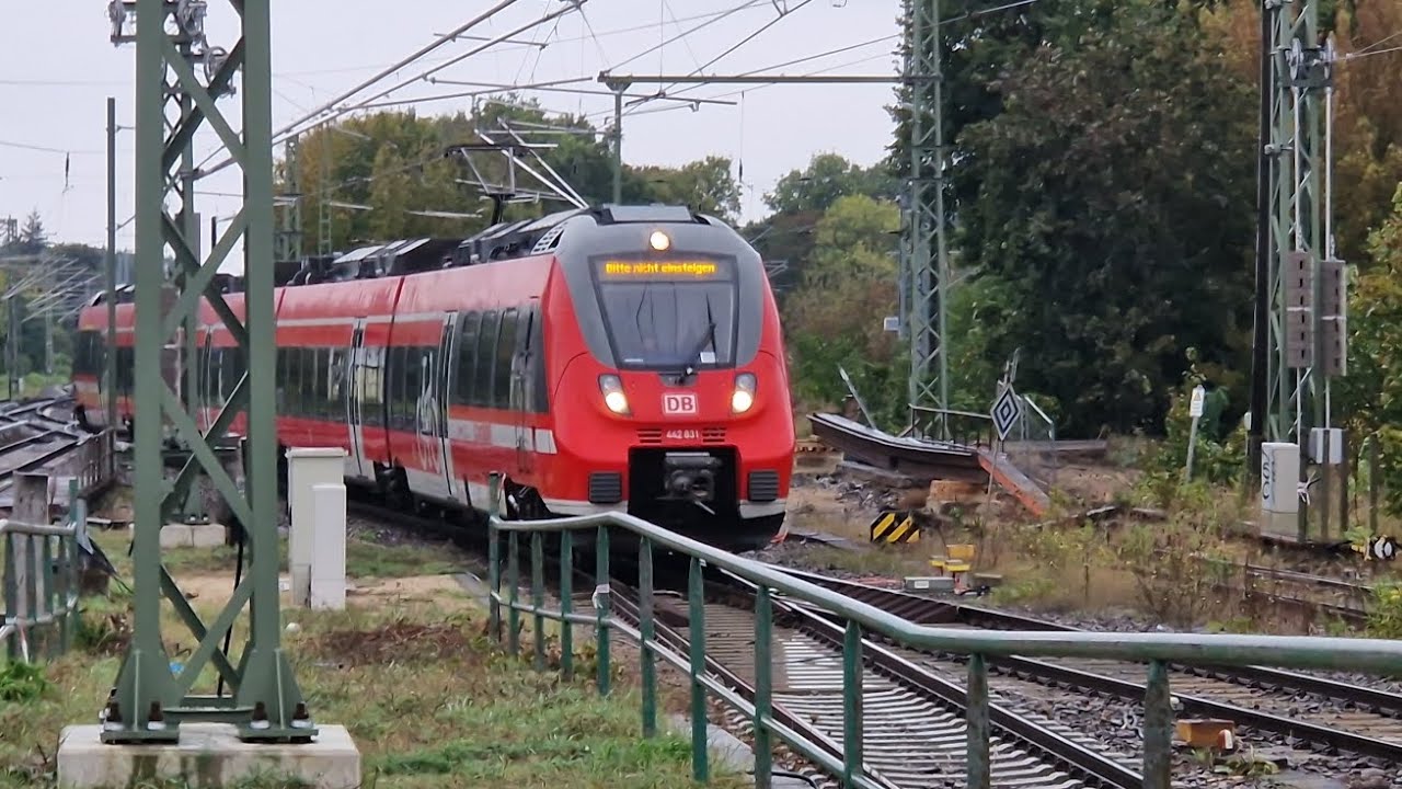 Mitfahrt in der RB22 von Königs Wusterhausen bis Flughafen BER T1-2 in der BR 442