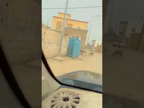 الفنانة كرمي ت غضب الآدرارييين وتصاعد المطالب بمحلية الإنعاش في مهرجانات السياحة الداخلية