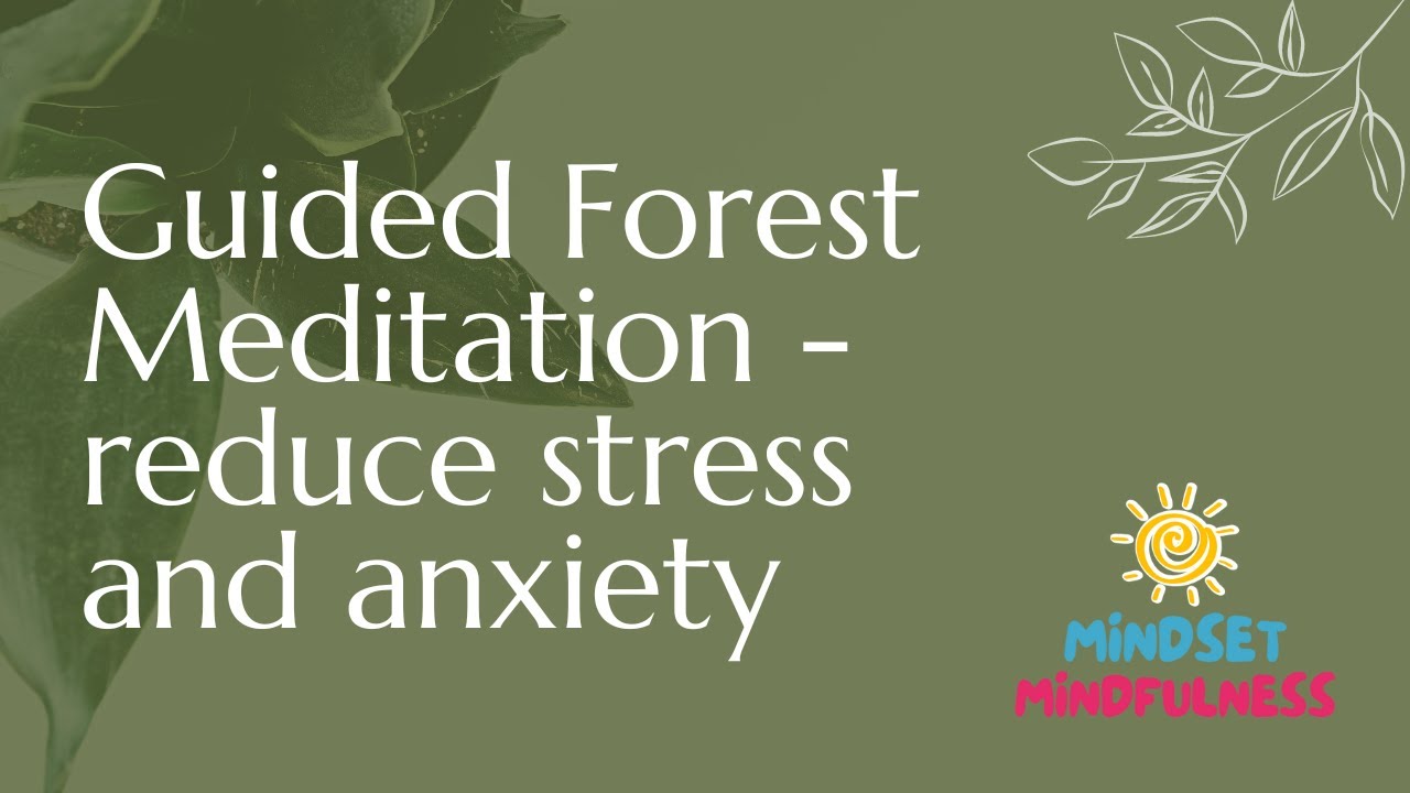 Guided Meditation - reduce stress and anxiety in a peaceful forest ...