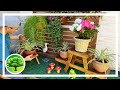 💚 DIY - JARDIM EM VASOS COM FLORES / RUSTIC GARDEN