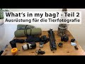 What’s in my bag - Teil 2: Ausrüstung für die Tier- und Vogelfotografie