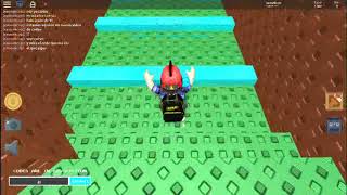 SKYWARS 2 Codes!!