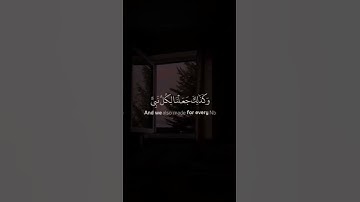 اجمل حالات واتس اب بصوت ادريس ابكر | تلاوة خاشعة و مؤثرة 😥🤍 #شاشه_سوداء #اكسبلور #explore