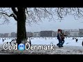 11 Years After Denmark Freeze Again / Climate Change /Frozen Lake /Cold Winter #Nørrebro #Copenhagen