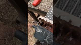 Commodore Transmission cooler failure #holden #fail #transmission #vtcommodore #commodore #radiator