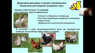 Птахівництво України. Що потрібно, щоб ваша птиця вижила в сучасних умовах. Частина 1