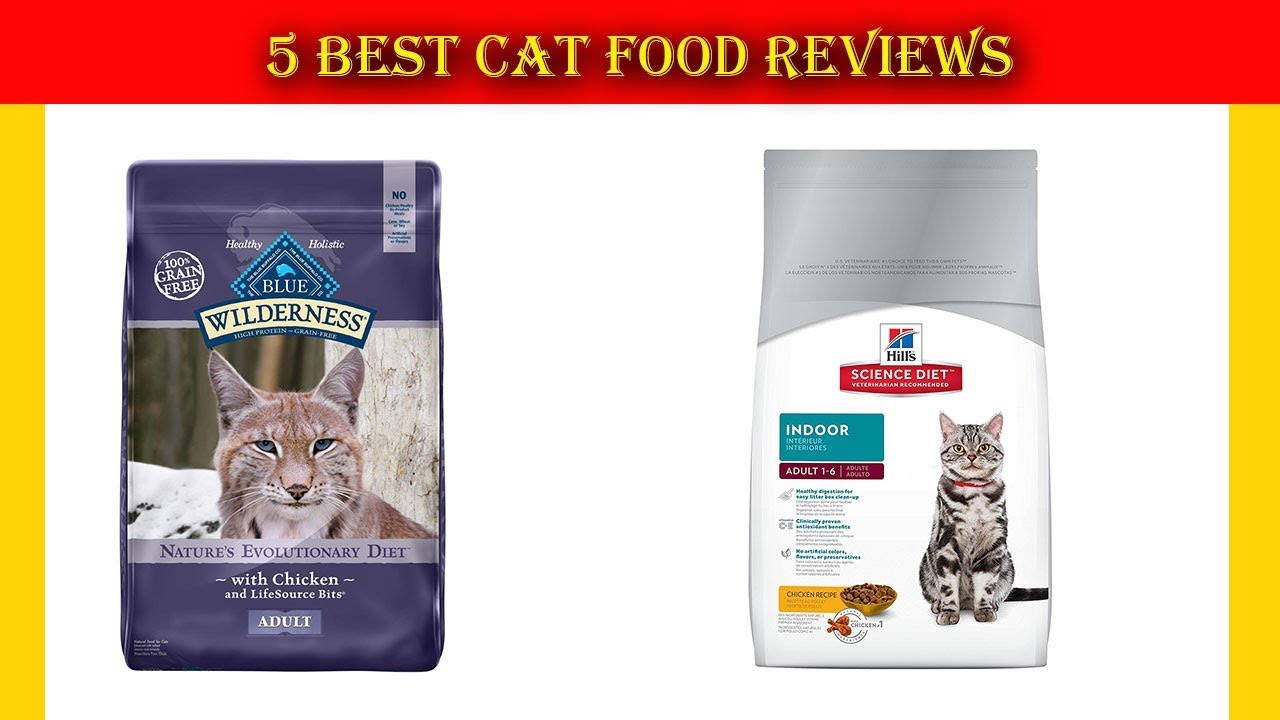 Cat Food: 5 Best Cat Food - YouTube