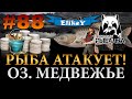 Рыбалка на Картошку! • Фарм Серебра и Бешенный Клев на Озере Медвежье • Русская Рыбалка 4 #88