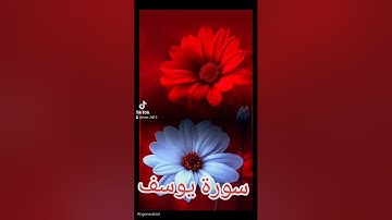 سورة يوسف #اكسبلور #المصحف #دويتو #quran #تيك_توك #العظماء #حالات_واتس #صباح_الخير #لايك