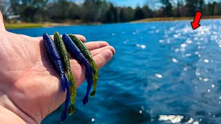 You NEED This BASS Lure! You Have NEVER Seen THIS Before!!