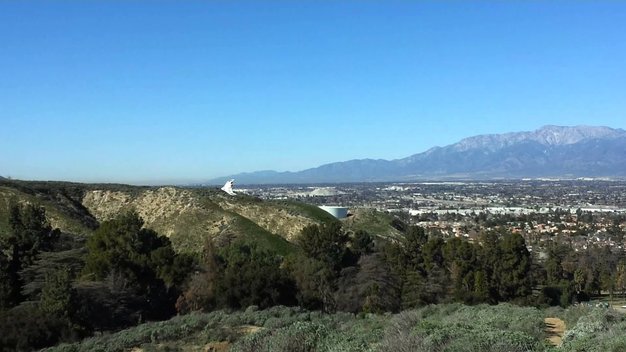 Hobby King Sonic 64 EDF fast rolls an flybys.