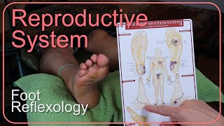 How To Work The Reproductive System In Foot Reflexology