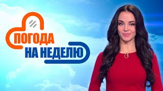 Когда ждать первых морозов? Прогноз погоды с 19 по 24 ноября | Погода в Беларуси | Плюс-минус