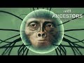 ПЕРВАЯ ЭВОЛЮЦИЯ ► Ancestors: The Humankind Odyssey #5