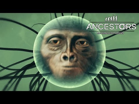 Видео: ПЕРВАЯ ЭВОЛЮЦИЯ ► Ancestors: The Humankind Odyssey #5