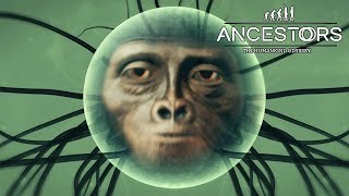 ПЕРВАЯ ЭВОЛЮЦИЯ ► Ancestors: The Humankind Odyssey #5