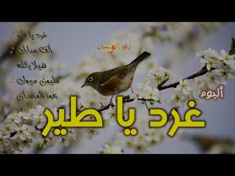 أناشيد ألبوم غرد يا طير أنشودة  زفو العرسان أداء فرقة البراء الفنية وأيمن رمضان