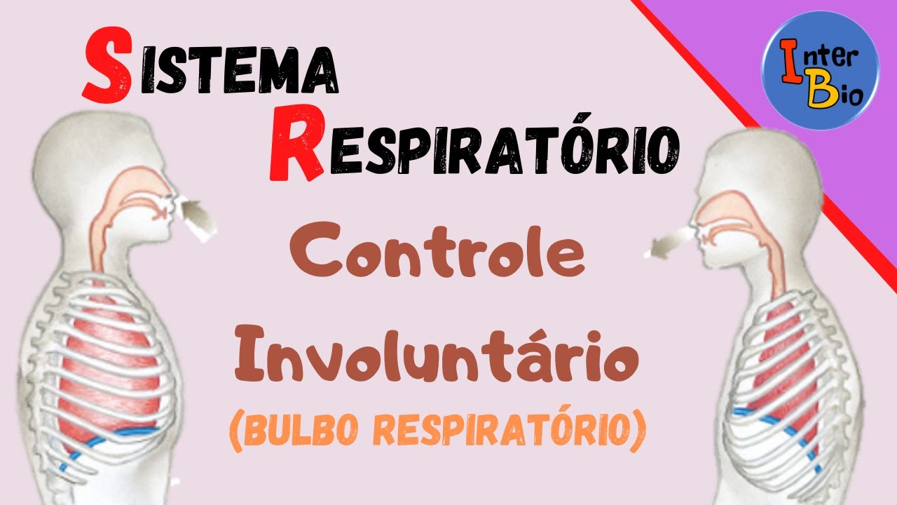 Sistema Respiratório - Controle Involuntário da Respiração - YouTube