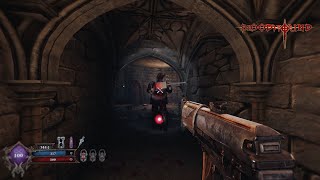 Bloodhound - FPS estilo clásico inspirado en Painkiller Black