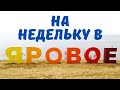 В Яровое на недельку до второго (Алтайский край)