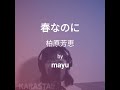 春なのに 柏原芳恵【歌ってみた】 / mayu #68