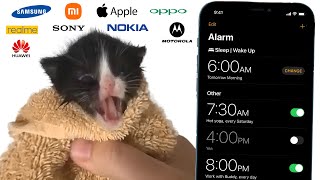 Kitten Meows but mobile alarms Resimi