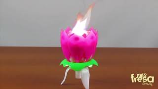 Vela Musical Flor De Loto Sonido Feliz Cumpleaños