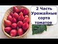 507.Урожайные сорта томатов.Часть 2