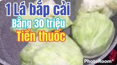 Tác dụng Thần kỳ của bắp cải với sức khoẻ| Thanh Đồng vlog