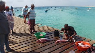 Cape Verde 2022 - Sal - Santa Maria and Fishing Pier