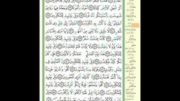 الصفحة ٥٨١ من القرآن الكريم...القارئ د.بريك سعد بريك