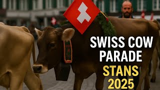 @SwissandGo 🇨🇭Subscribe 👍 Cow Parade in Switzerland 🐮🎶🍂#switzerland #cow #parade #shorts