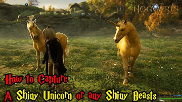 Hogwarts Legacy Guide - How to Capture a Shiny Unicorn