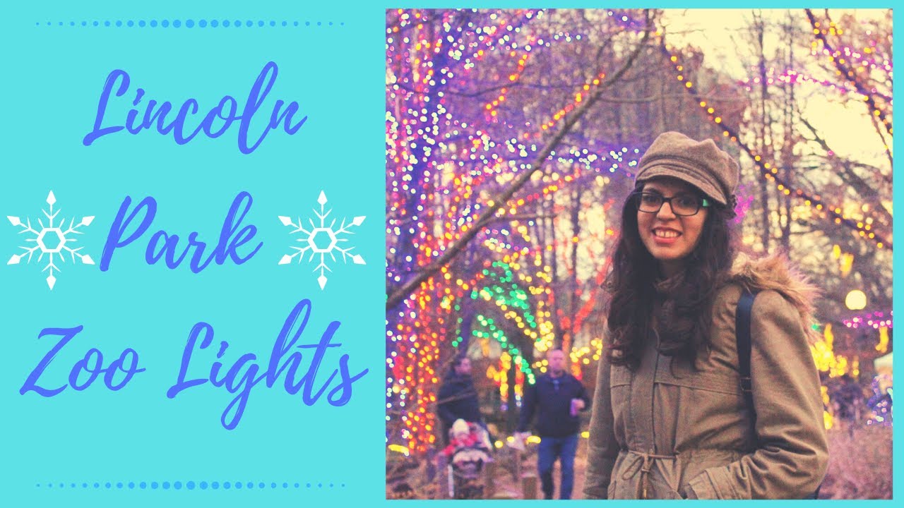 Living with Marí 12 Lincoln Park Zoo Lights in Chicago YouTube