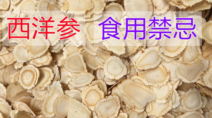 西洋參的功效和作用？西洋參的吃法？西洋參食用禁忌 - 天天要聞