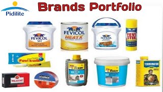 Products Of Pidilite Pidilite Business Empire In India Brands Of Pidilite Pidilite Brands
