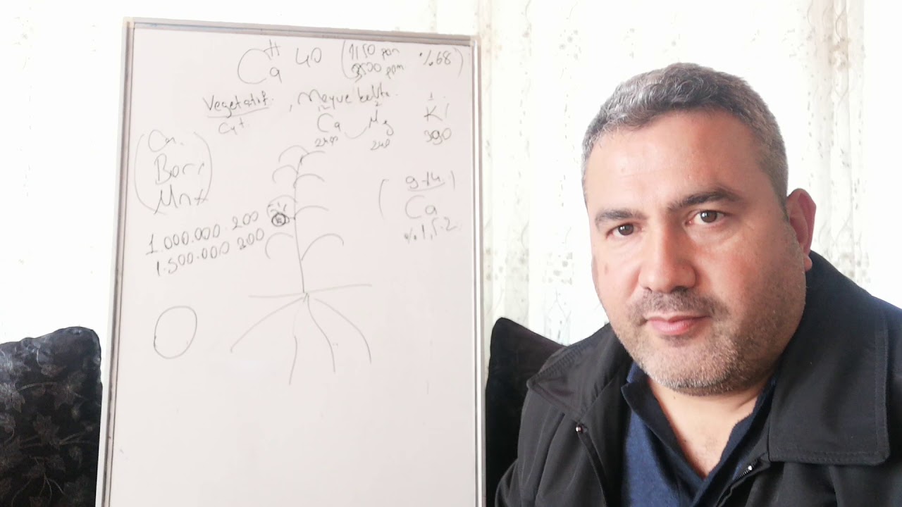 Kalsiyumun bitkilerdeki etkisi