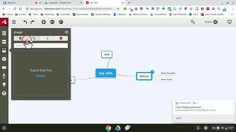 Brainstorm Your Ideas using Mindomo