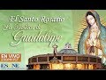 El Santo Rosario desde la Basílica de Guadalupe  - En Vivo  ¡Compártela y pasa la bendición! - ESNE