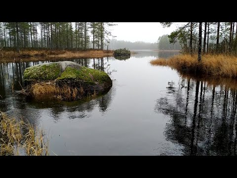 Видео: Рыбалка в Карелии