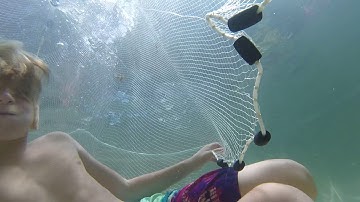 Cast net underwater video
