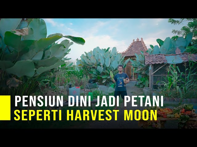 Tinggalkan Karir Di Kota Jadi Petani Di Desa Hidup Bahagia Seperti Game Harvest Moon class=