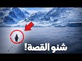 قصة البطريق اللي حي رت العالم صورة قديمة رجعات ترند وفضحت حقيقة قاصحة 
