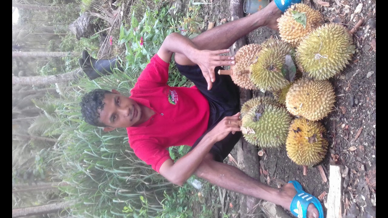 Pesona Pulau Teor