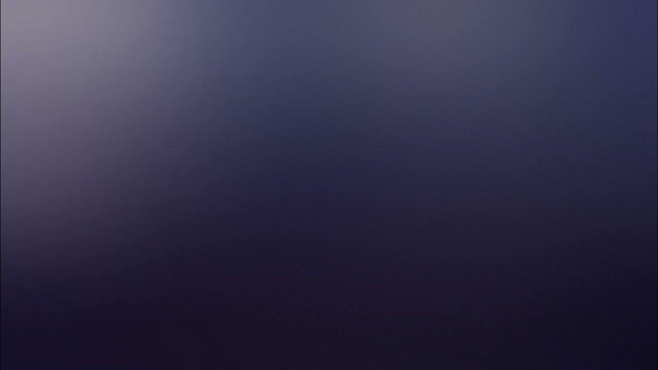 в ином мире животных