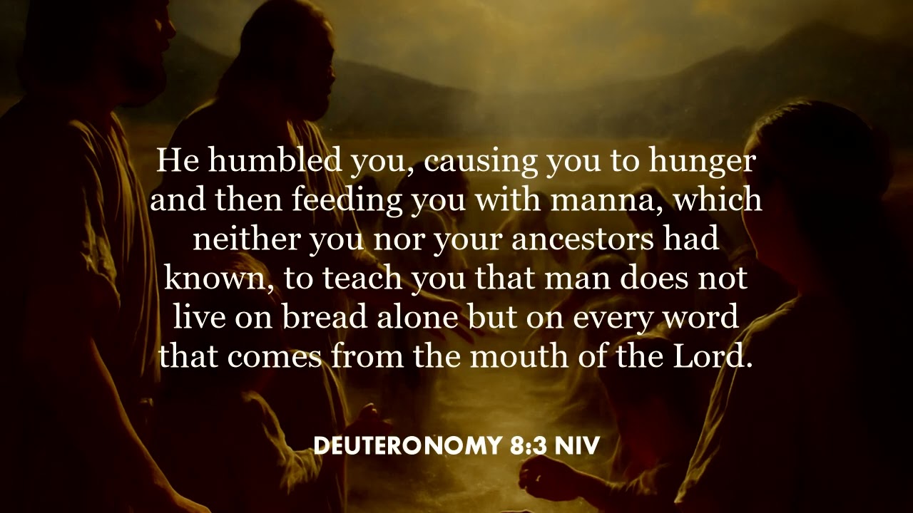 Deuteronomy 8:3 (NIV)